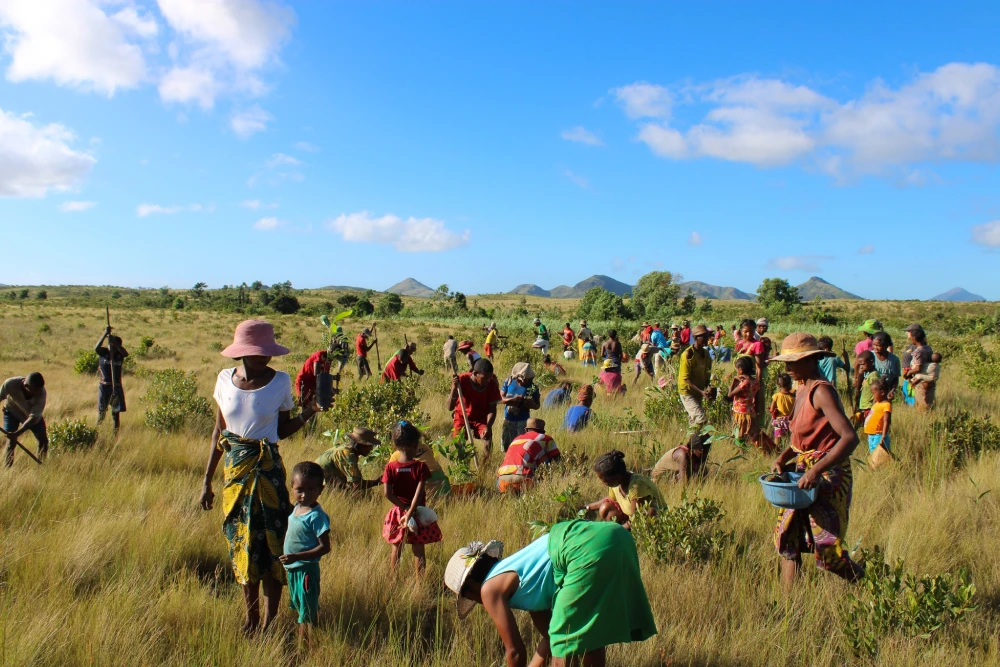 Community planting in Esinda
